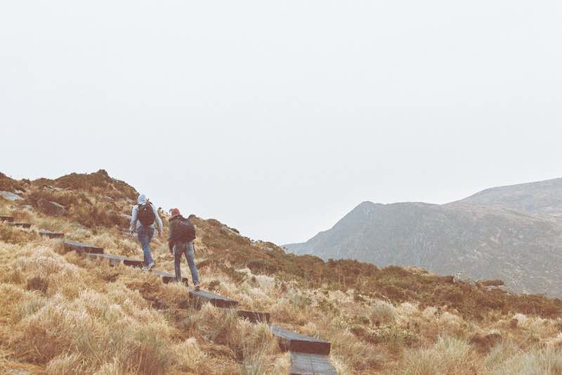 Wanderers